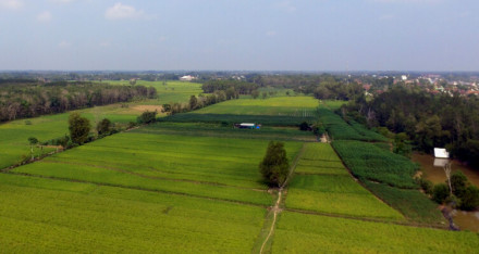 Persawahan - Peladangan - Pemukiman Persawahan - Peladangan - Pemukiman